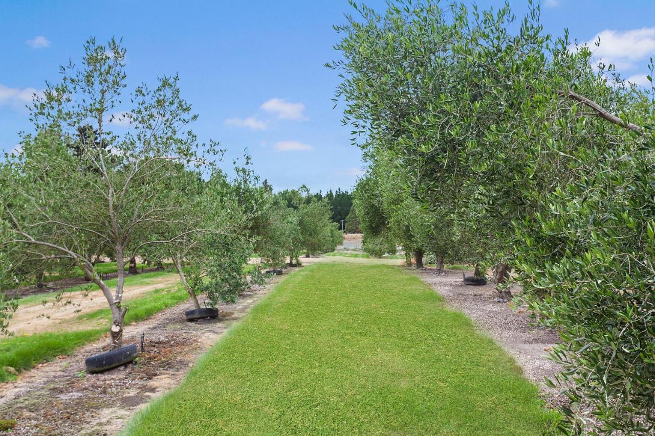 クライストチャーチ Clearwater Olive Estateヴィラ エクステリア 写真
